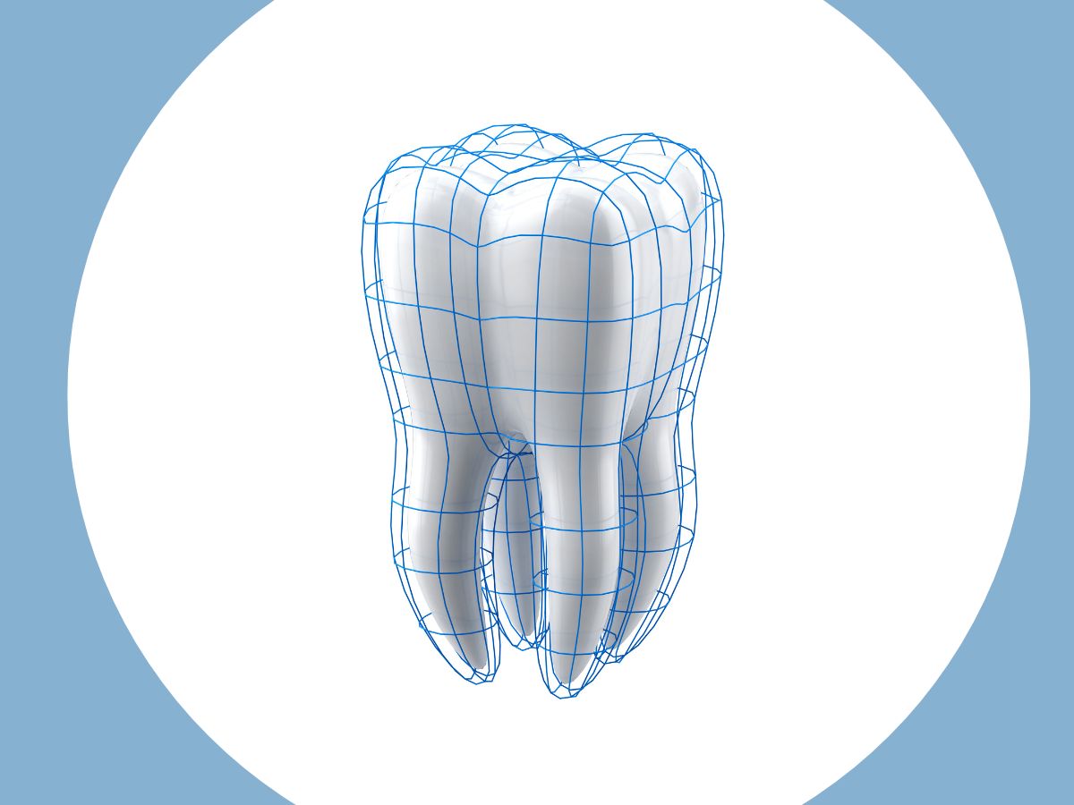 ¿Por qué nuestros dientes se desgastan con la edad?